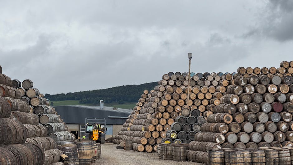 迷你倉:打造整潔生活的理性選擇