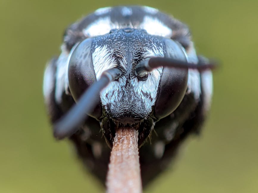 水光針的魅力與效果：深入了解水光針的因果關係