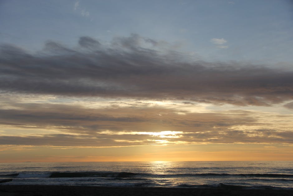 過大禮果籃:幽默帶你輕鬆搞定傳統情感禮儀