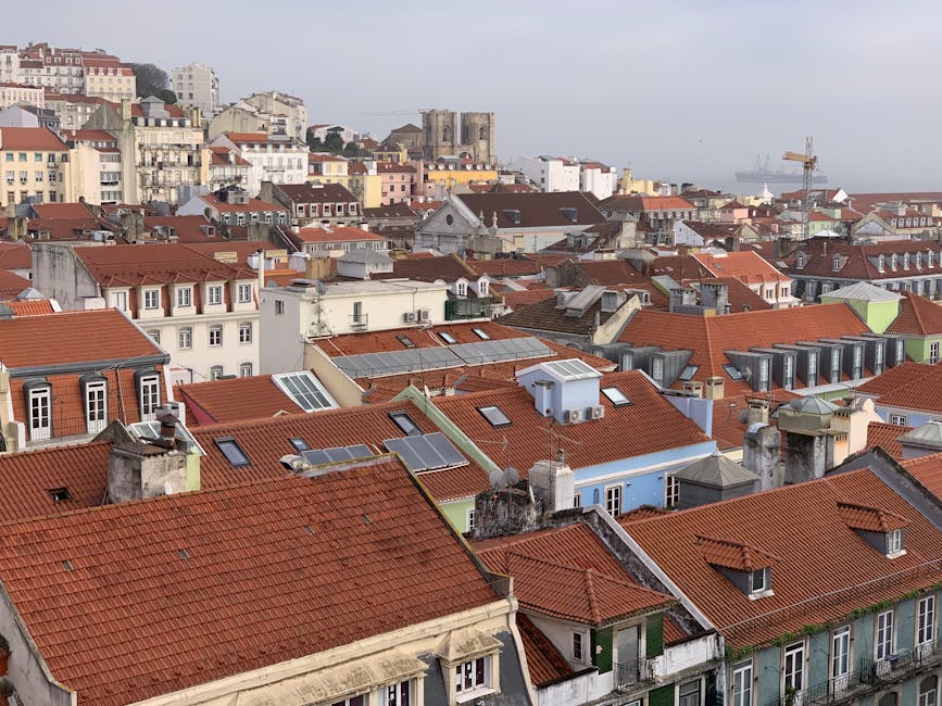 緊急援助金的重要性與實務應用